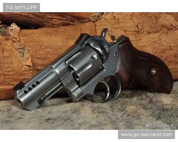 天堑通途游戏中玩家能否在冒险关卡里获得手枪作为武器使用